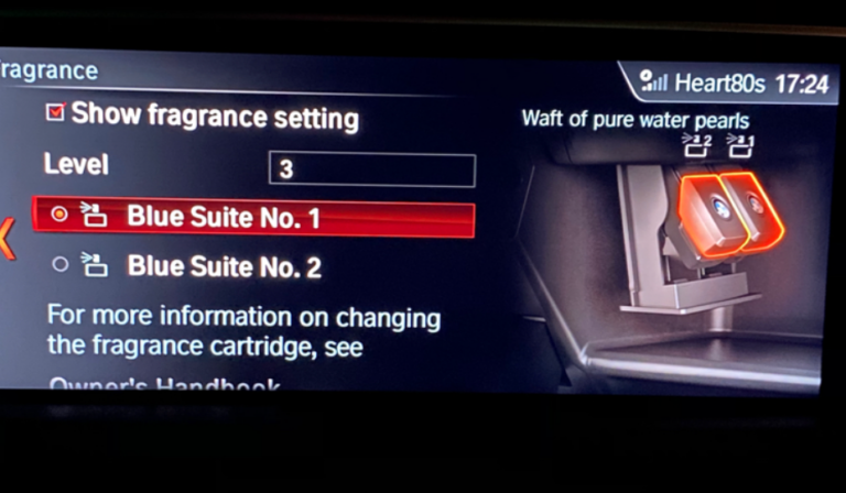 BMW Ambient Air: Best Scents, How to Install It, and More!